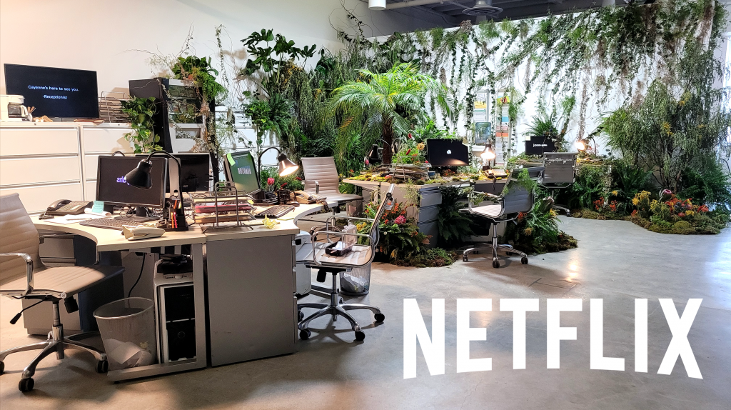 netflix wt