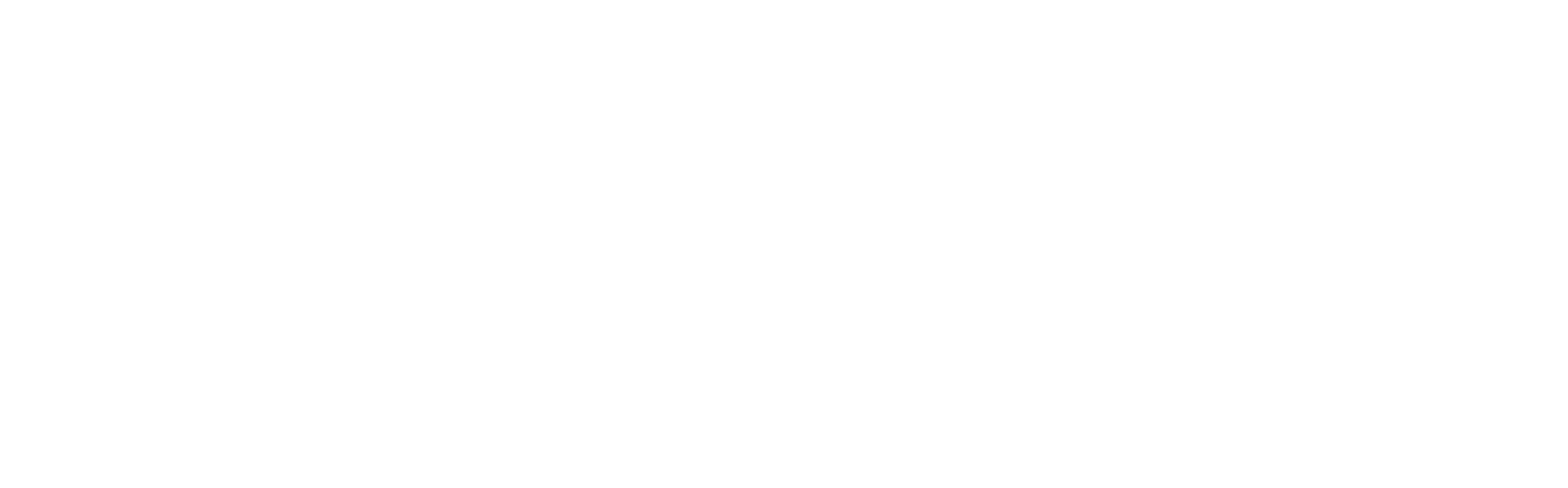 Netflix_Logo_white